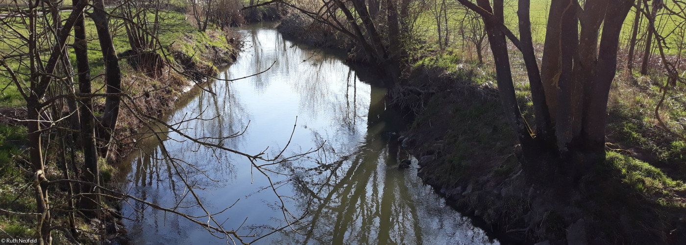Hallerbach